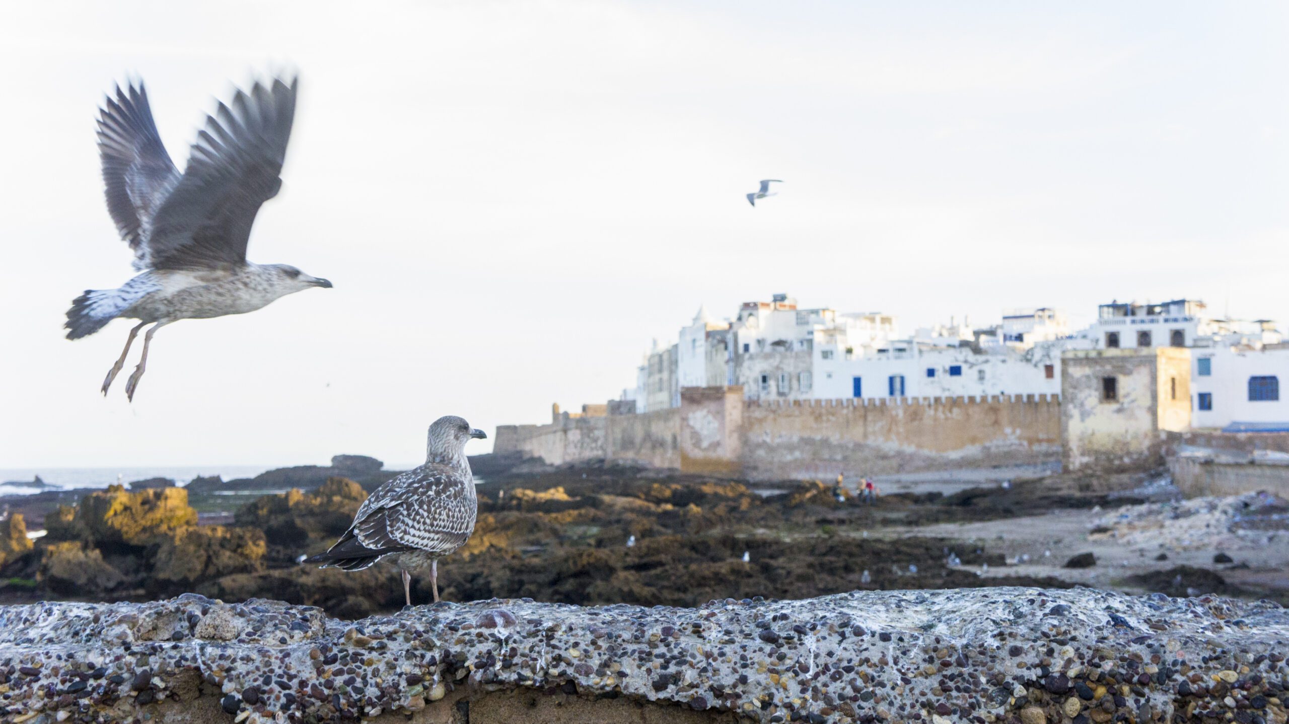 Essaouira
