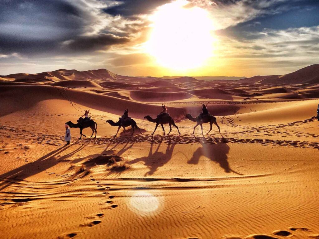 Camel caravan walking at sunrise in Moroccan Sahara dunes