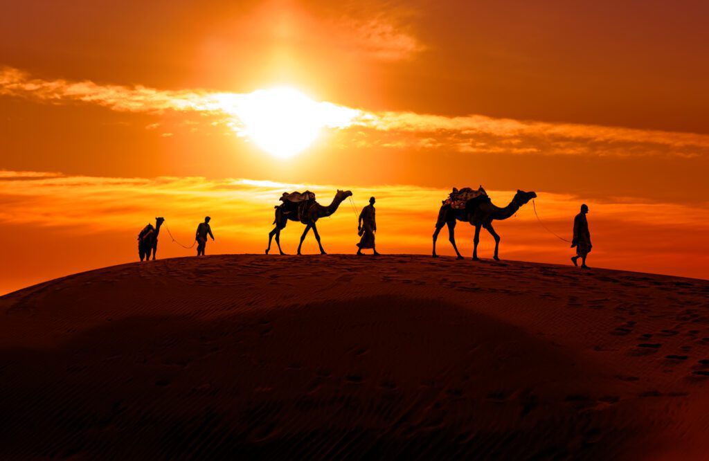 Camel caravan at sunset in the Moroccan Sahara Desert