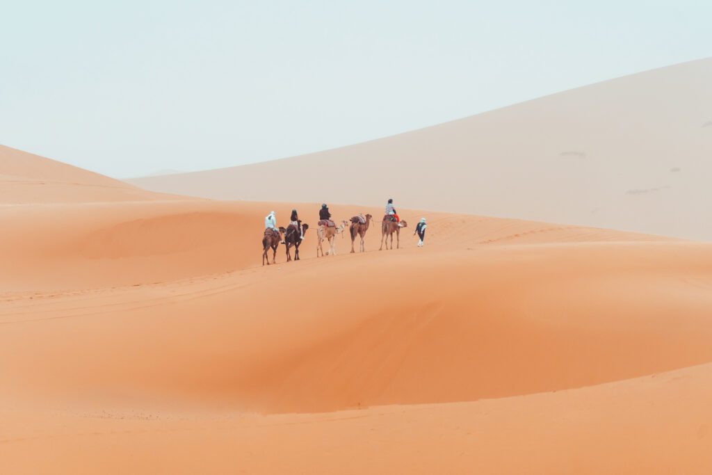 Travelers riding camels across golden dunes in Sahara Desert Morocco