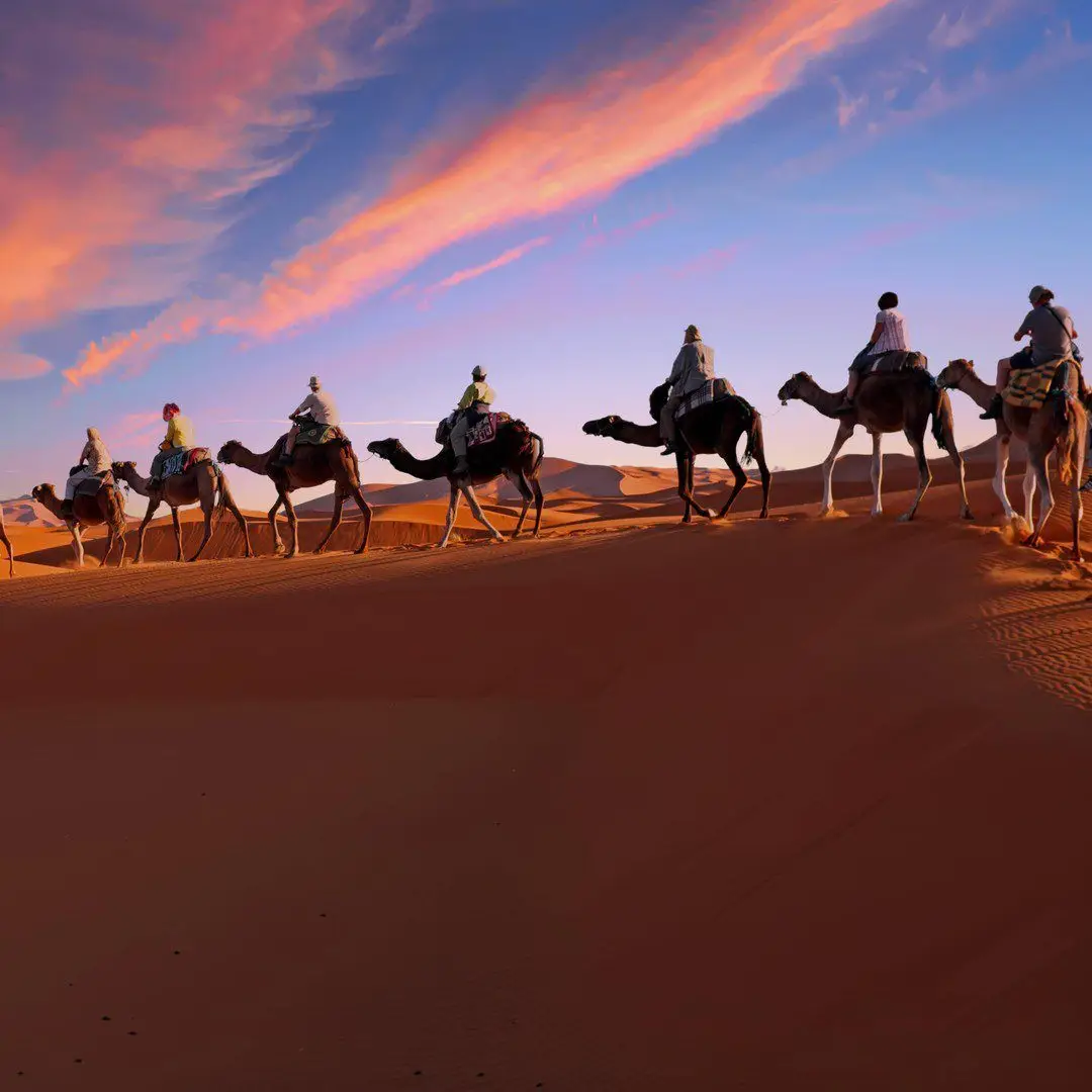 Sahara Desert Tours from Marrakech — Best 2026 Packages & Prices