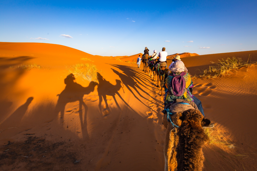 Fireworks lighting up night sky over luxury camp in Merzouga Sahara