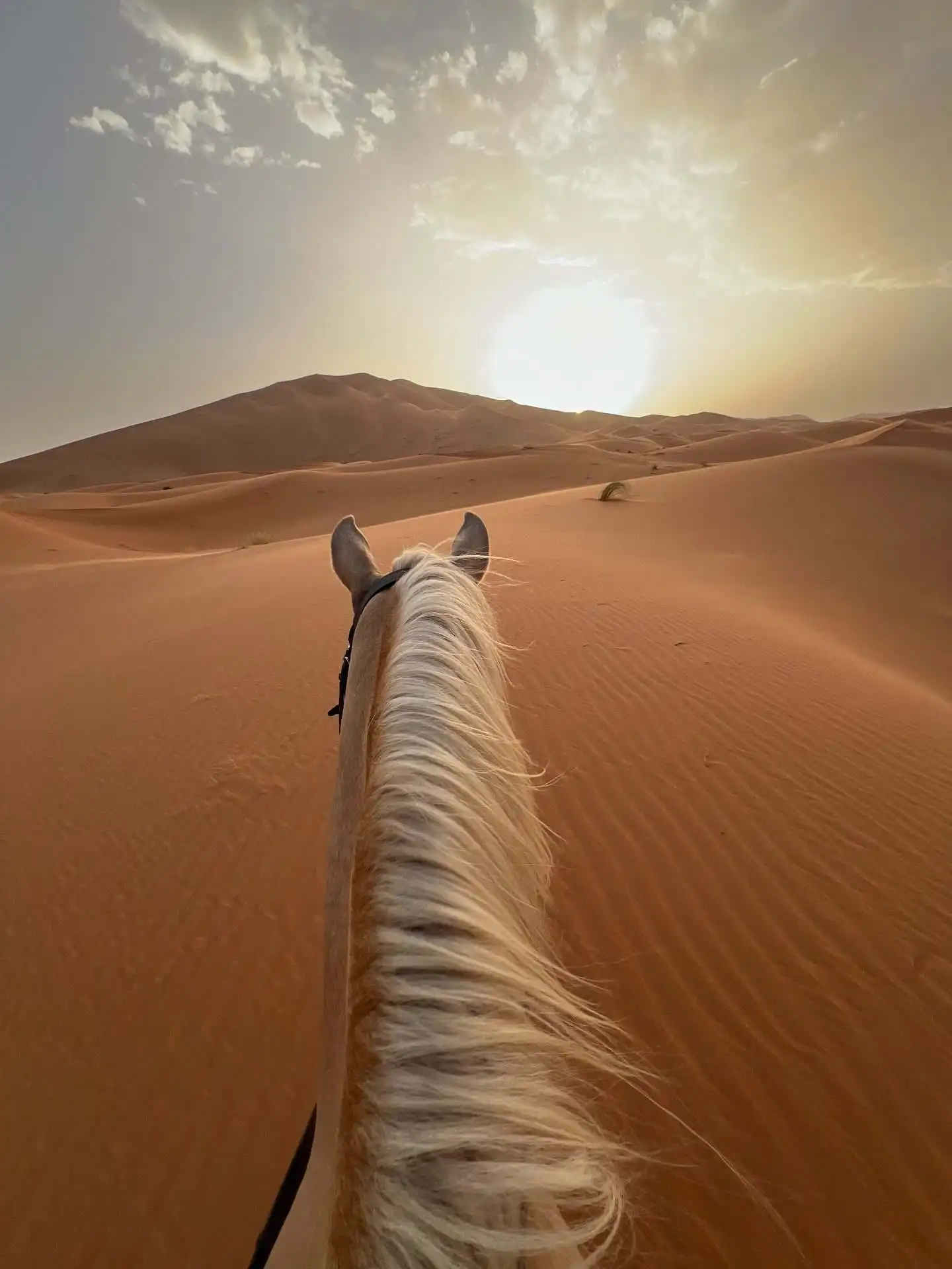 Horse ride across the Erg Chebbi dunes at sunrise