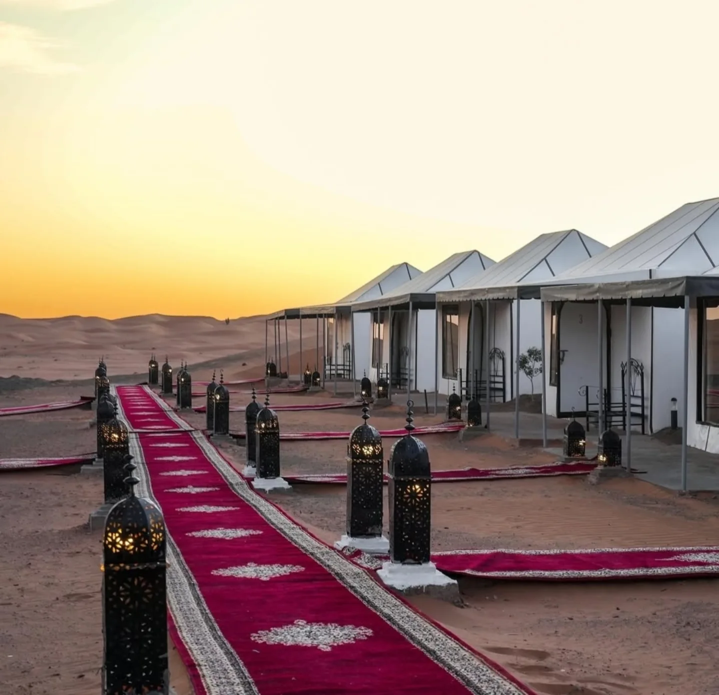 8-Day Morocco Tour Marrakech Sahara Fes Chefchaouen 5 Erg Chebbi Luxury Desert Camp — Day 4 of the 8-Day Morocco Tour