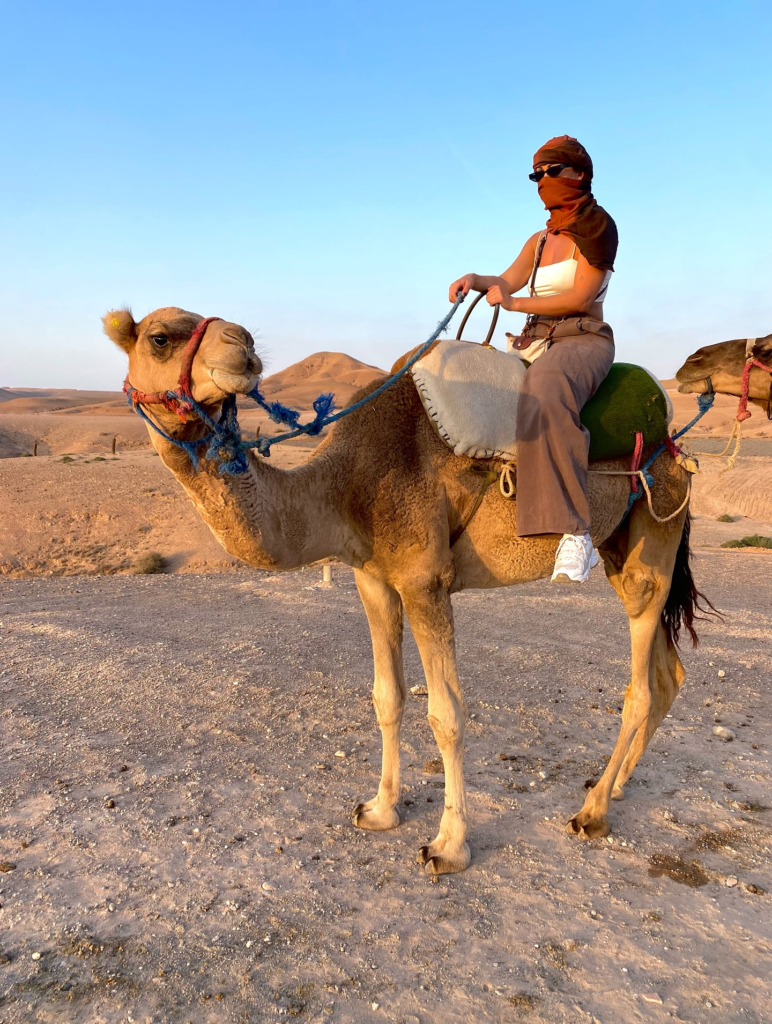 Camel Ride in Agafay – Peaceful Desert Trek & Mint Tea Experience