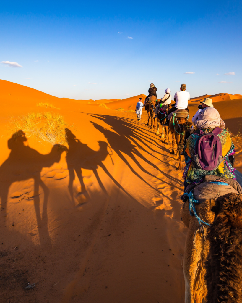 Luxury Sahara desert tour from Marrakech_ golden Erg Chebbi dunes at sunset near Merzouga, Morocco