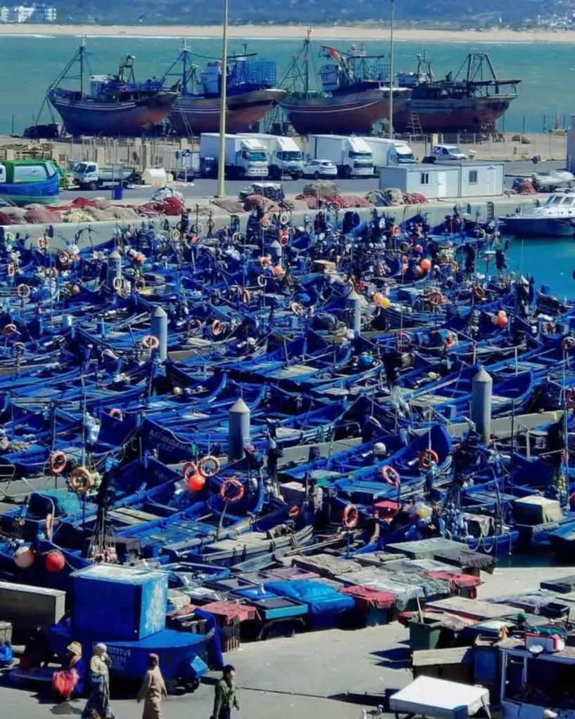 Essaouira Coast Day Trip
