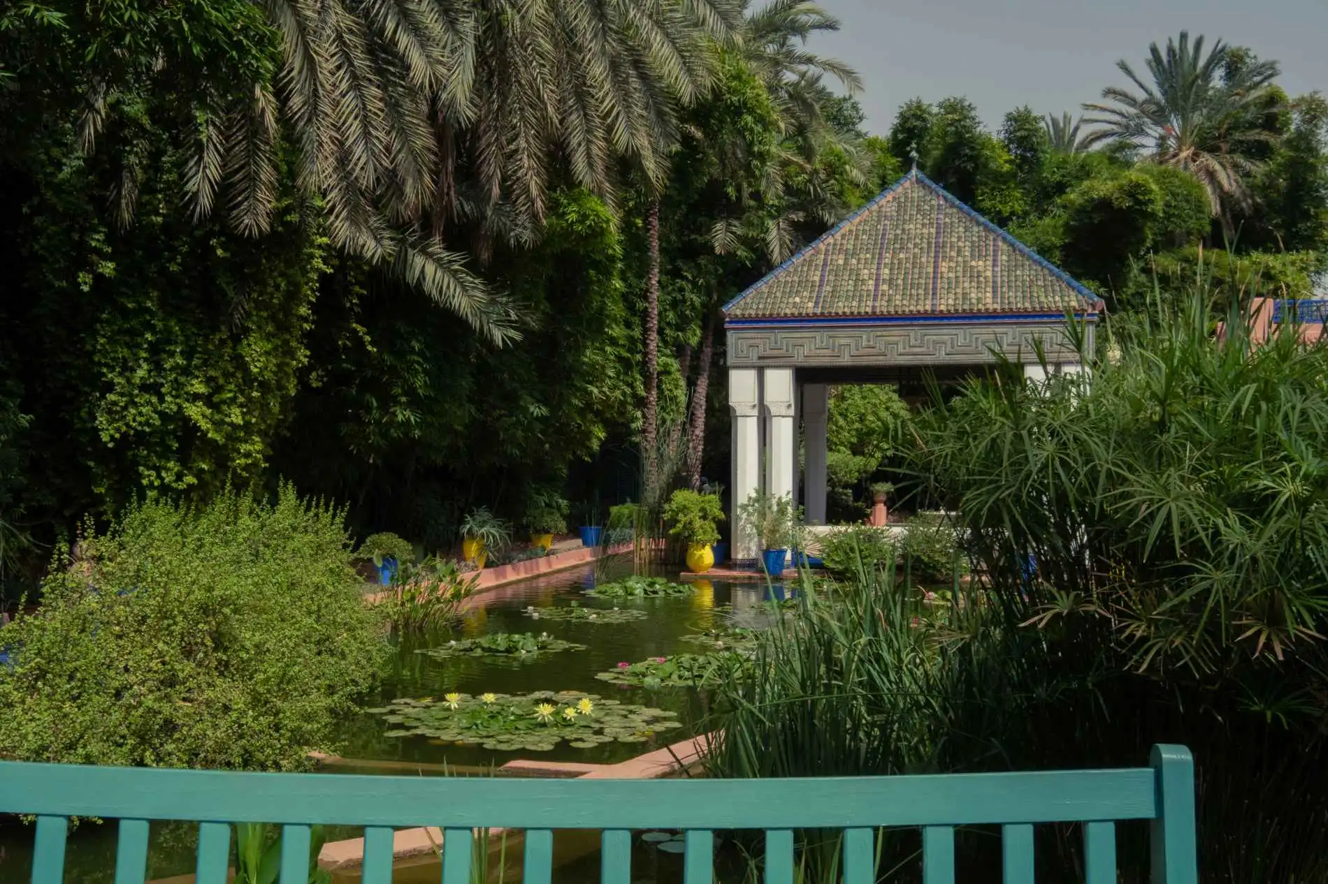 Best Things to Do in Marrakech 2 Jardin Majorelle & YSL Museum Marrakech Morocco