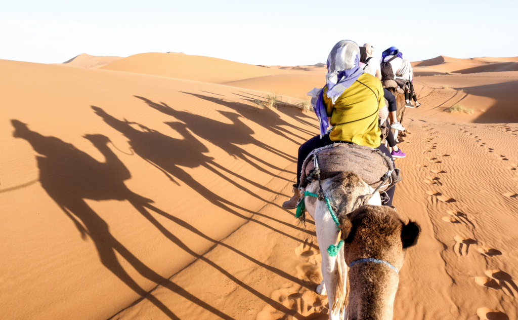 Moroccan Tours: How to Plan Your Perfect Trip to Morocco 3 tourists caravan riding dromedaries through sand d 2024 07 03 02 44 07 utc