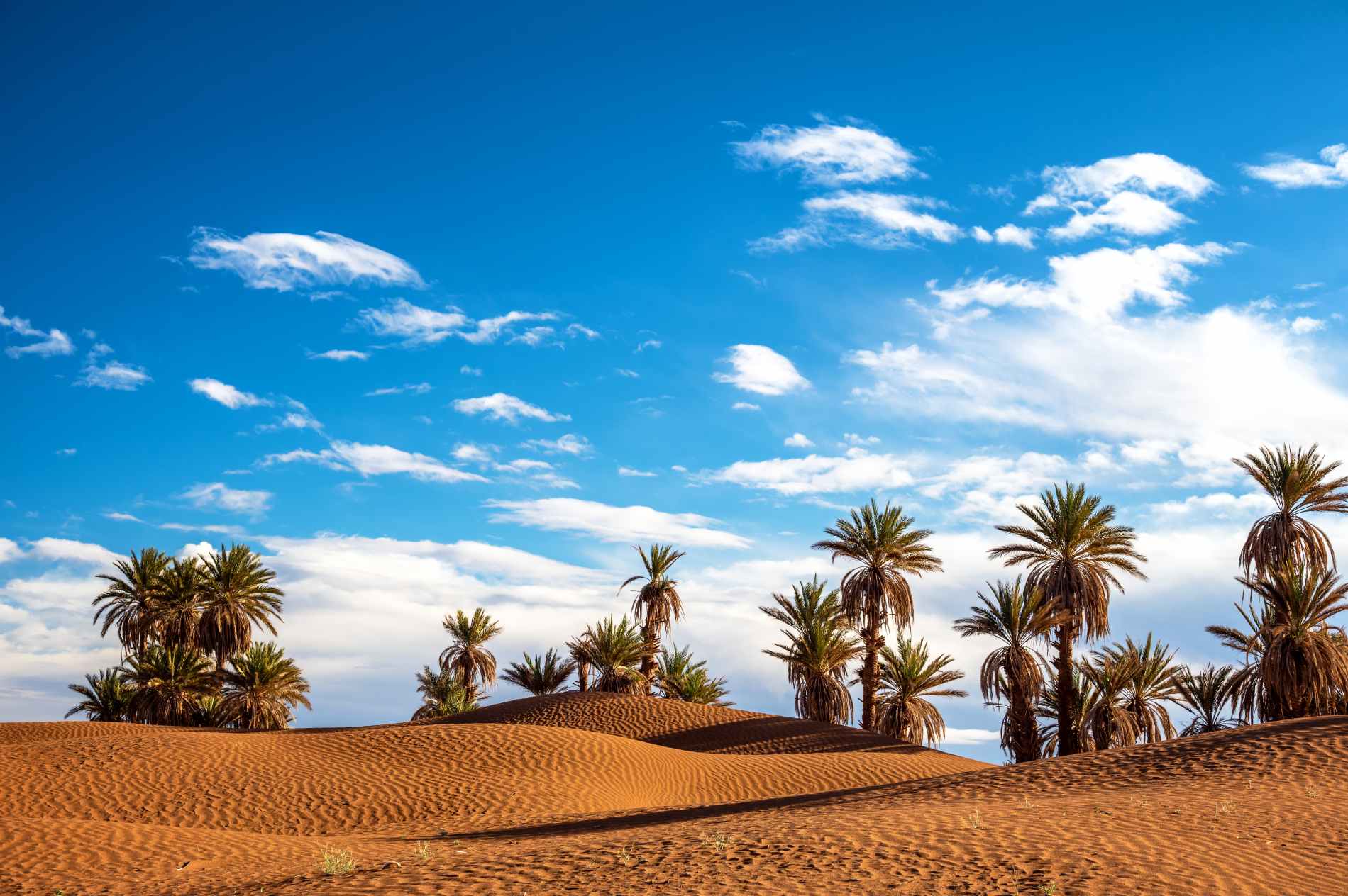 Golden Saharan dunes in Morocco's deep south, the remote setting of an Erg Chigaga desert tour