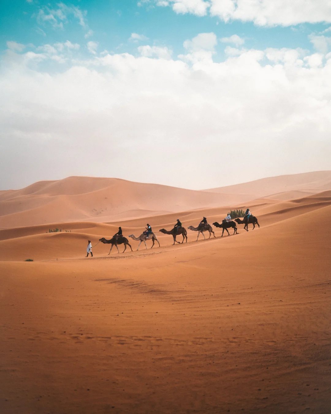 Homepage 10 Desert
