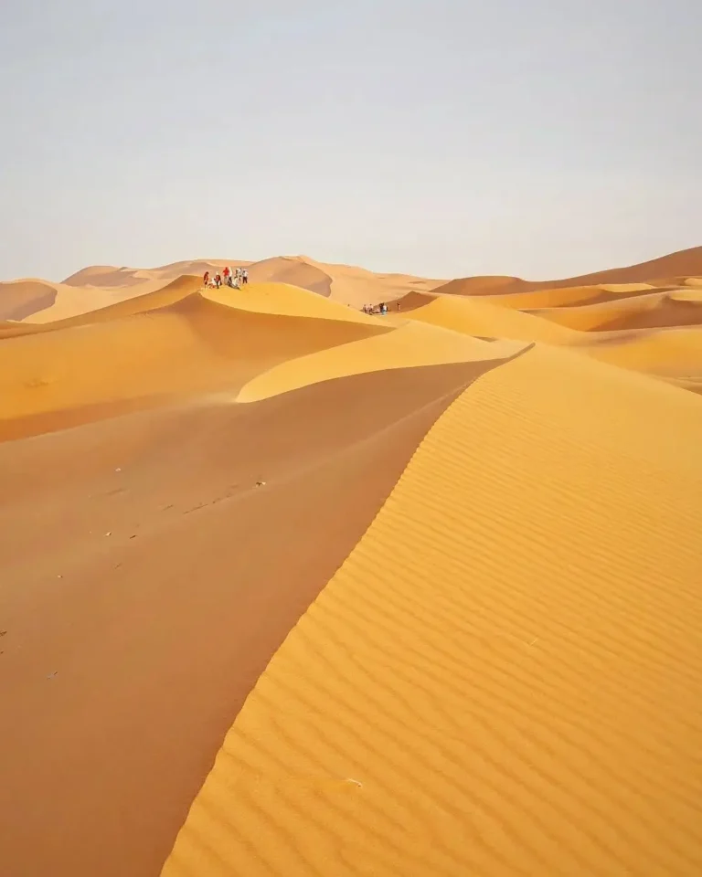 Zagora Desert Tour from Marrakech: 2 Days, 1 Night in the Sand