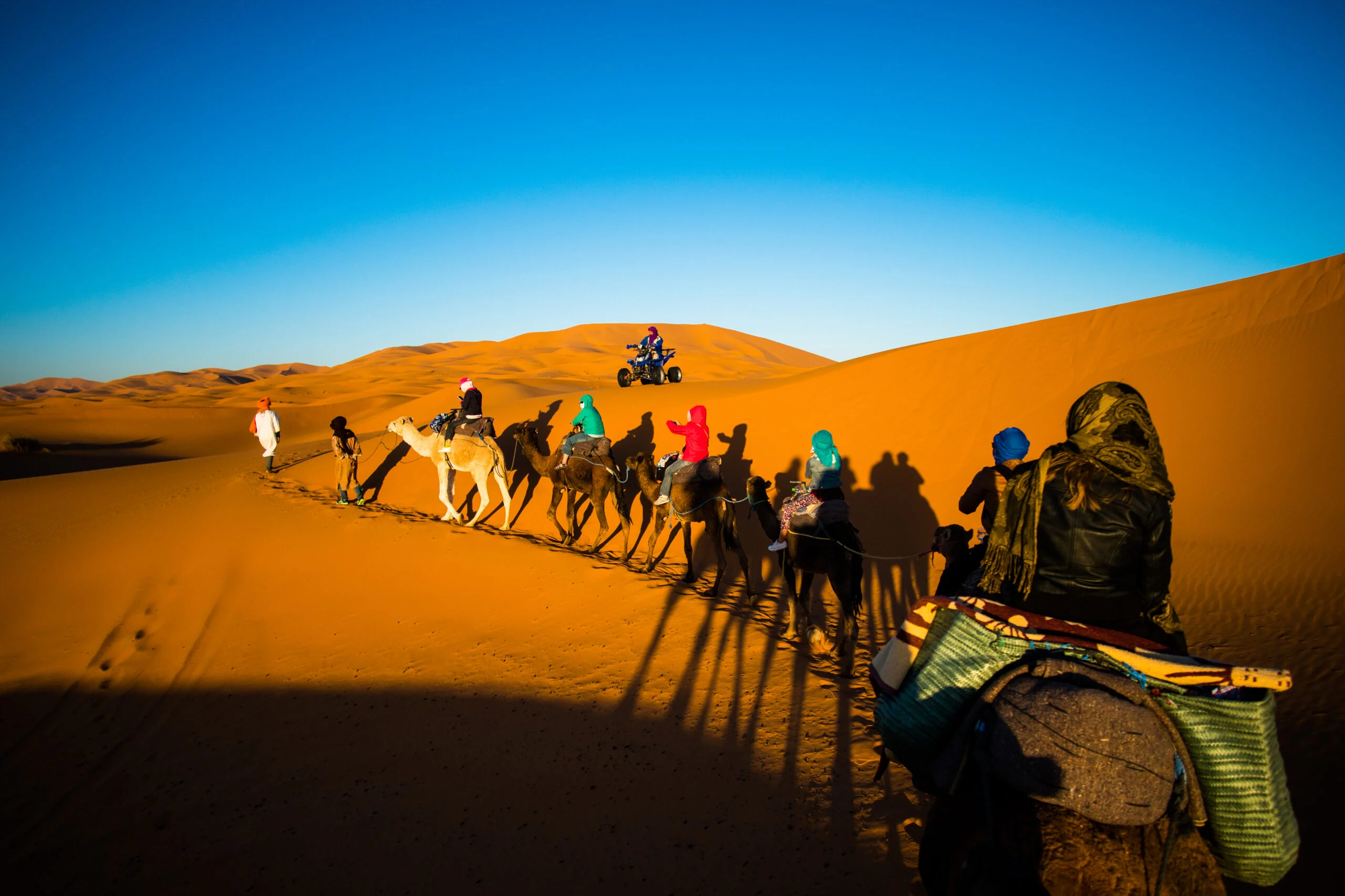 Camel caravan crossing the Sahara dunes at sunset near Merzouga