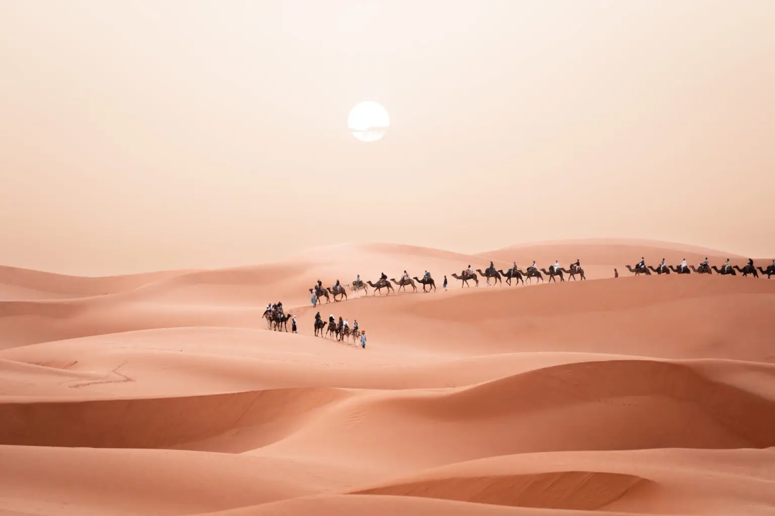 Camel caravan crossing the Merzouga dunes under a hazy Sahara sun
