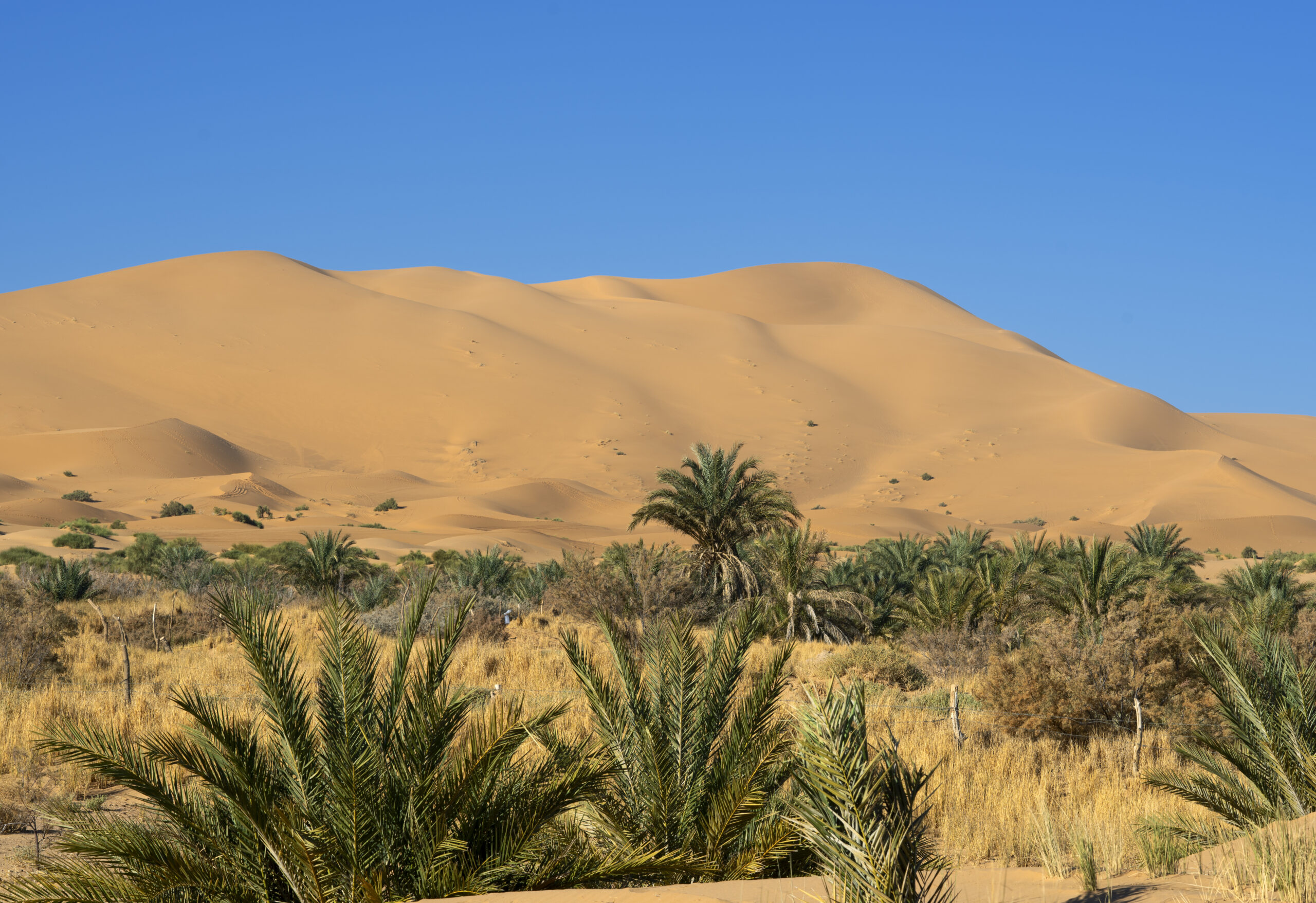 9 Days of Jewish Heritage in Morocco: Casablanca, Fes, the Sahara and Essaouira
